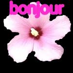 Bonjour 7
