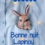 Bonne nuit