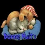 Bonne Nuit !! 36
