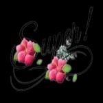 Souris c'est vendredi