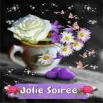 Bonne
nuit
O