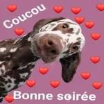 Bonjour
Bonne journée de
Jeudi
Yves. C