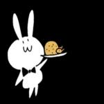 cutie rabbit