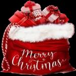 BON REVEILLON ET JOYEUX NOEL Bisons