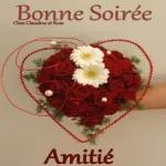 bonne nuit
