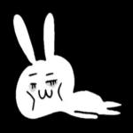 cutie rabbit