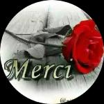 Bonne nuit