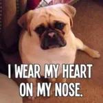 Love is the only thing that grows when you give it away.