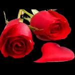 SI TU DIZ TÁ DIZIDO