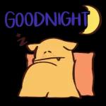 Bonne nuit:)
Bisous:)