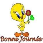 Good afternoon