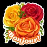 BONJOUR!