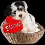 Bon jour
Bon Dimanche