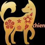 12 animaux du zodiaque chinois