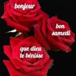 BONJOUR
Mr Geekyle