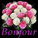 BONJOUR!