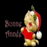 BonneAnnée