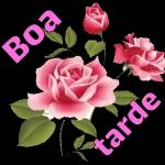 Boa
tarde