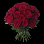 BonjourCommentallezVous ?