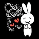 Lapin mignon