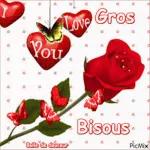 je ne peux trouver aucuns fleurs😩