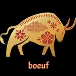 12 animaux du zodiaque chinois