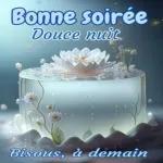 Bonne soirée Douce nuit. Bisous, à demain