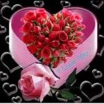 BONJOUR
PAGE L'ORIGCTAIT UNE CONS
BON WAGON