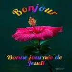 Bonjour
Bonne journée de
Jeudi
Yves. C