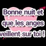 Bonne nuit et
que les anges
veillent sur toi !!