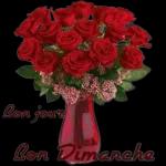 Bon jour
Bon Dimanche