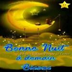 Bonne nuit bisous