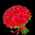 je ne peux trouver aucuns fleurs😩