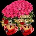 Bonne Nuit
À demain
Bisous