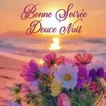 dans cette douce nuit😘⭐️😘🌙