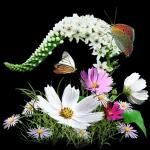 Bonne nuit et
que les anges
veillent sur toi !!