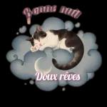Bonne nuil Doux rêves
