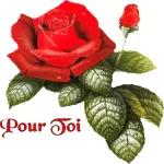 Mon
Coeur