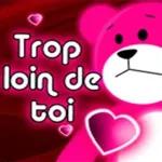 Bonne
(Bruit
Bisous