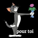 Bonne nuit etque les angesveillent sur toi !!