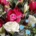 Bonjour bisous💋