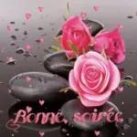 Bonne nuit