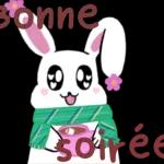 Bonne Nuit