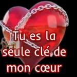 Einmal dieRegelndurchlesen undbestätigen (6)