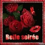 bonne nuit