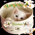 Offres d'autocollants gratuits à télécharger