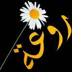 OHffaele Raffaello Conlelleria Raffaello Daflanio pay Pallac Qaffaello