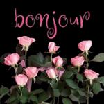Bonjour