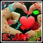 Love You
i
sweet heart