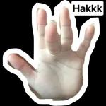 دیزاین توحیدیار یوه کاری کلان درته ډالی